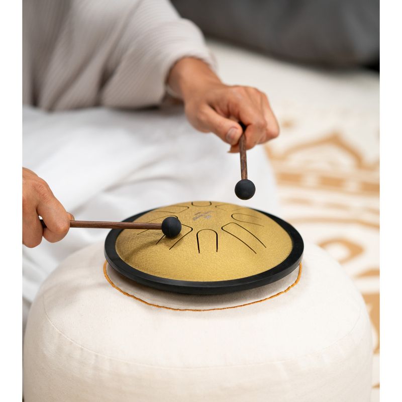Meinl SSTD3G. Sonic Energy Small Steel Tongue Drum. Gullfarget