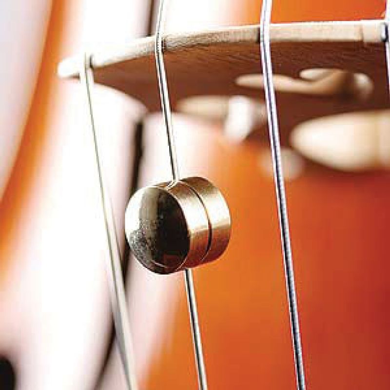 Wolftone eliminator til cello, rund